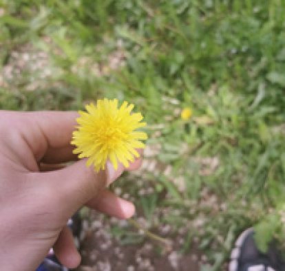 Адам Мамедов